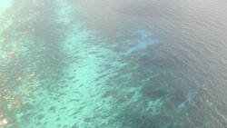 VOICED : Nicaragua demanda Colombia ante CIJ News Clip