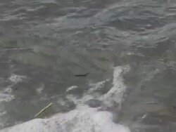 Slow motion waves Stock Footage