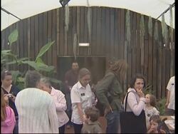 London Zoo reveals its new butterfly exhibition News Clip