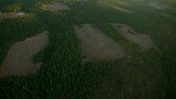 Patches of clearcut conifer forest near Viola, California. Stock Footage