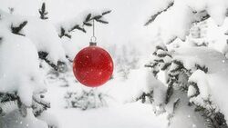 Red Ball On Christmas Tree Branch 4K - Loopable Stock Footage
