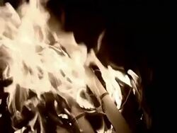 Pages of the writings of Nostradamus burn in flames in a reenactment. Stock Footage