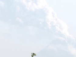 Merapi volcano erupts ash and steam high into air at dawn; Indonesia. 7 November 2010 / AUDIO Stock Footage