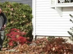 Leaf Blower Stock Footage