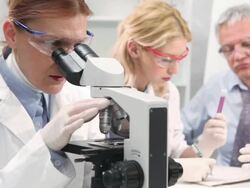 Group of scientist in a laboratory Stock Footage