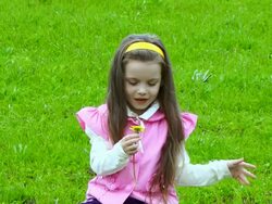 Flower of love Stock Footage