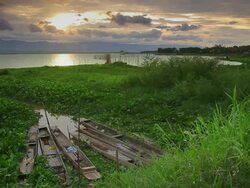 Kwan Phayao the Lake,Dolly shot Stock Footage