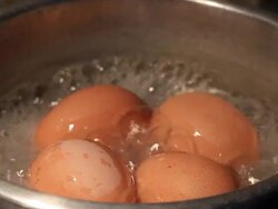 Boiling Eggs. Stock Footage