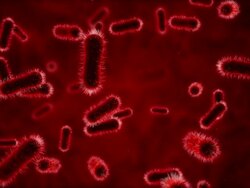 Bacteria under microscope red Stock Footage