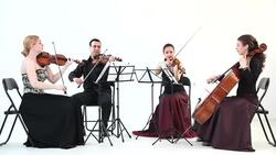 String quartet Stock Footage