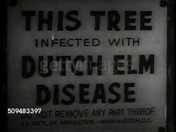 Dutch Elm disease Instructional Video