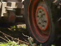 Deforestation for Agricultural Area Stock Footage