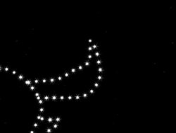 New Year's Stock Footage