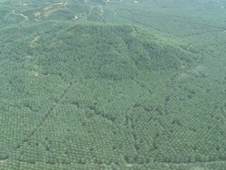 Maliau Basin with palm oil plantations, Sabah, Malaysia, Borneo Stock Footage