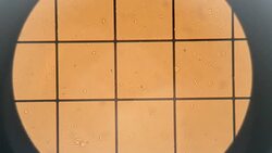 Clinic Sperm microscope hd Stock Footage