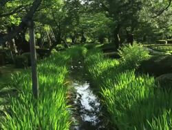 MS TU Magarimizu in Japanese garden Kenrokuen, Great Gardens of Japan / Kanazawa, Ishikawa, Japan Stock Footage