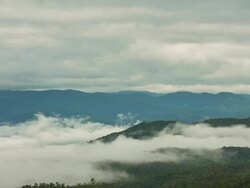 Fog and Terraced Paddy Field in Mae-Jam Village, Thailand. Stock Footage