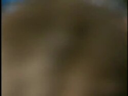 'William Shakespeare's A Midsummer Night's Dream' Premiere Stock Footage