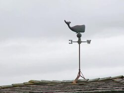 "Metal whale weather vane on top of tiled roof, grey day in Homer Spit, Homer, Kenai Peninsula, Alaska." Stock Footage