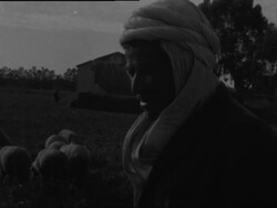 CAN718 EFFECTS OF DROUGHT DUE TO HALVED NORMAL RAINFALL News Clip