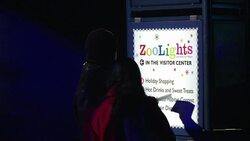 CLEAN : Christmas lights in Washingtons News Clip