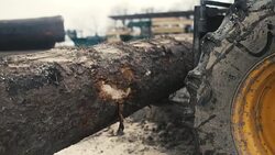 Large log loader and operations in the log yard at a conifer log mill. Stock Footage