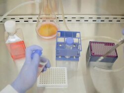 Tissue culture hood experiment Stock Footage