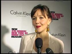 Maggie Gyllenhaal  at reopening of the Museum on the Bowery News Clip