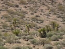 WS AERIAL ZI View of Los Angelesndscape / Nevada, United States Stock Footage