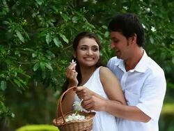 Woman plucking flowers with her husband embracing from behind  Stock Footage