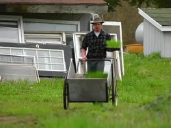 WS SLO MO TS View of Young man wheels plants out at farm / Chatham, Michigan, United States Stock Footage