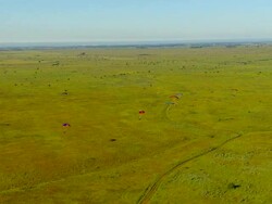WS AERIAL ZI View of Para gliding / Melbourne, Victoria, Australia Stock Footage