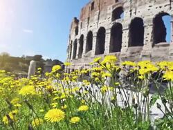 Coliseum at spring in Rome Stock Footage