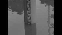 CAN675 RHINE FLOOD WATERS THREATEN OLD PARLIAMENT BUILDING Instructional Video