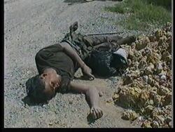 CAMBODIA: FIGHTING BETWEEN RIVAL TROOPS LEAVES DEATH &amp; DESTRUCTION News Clip