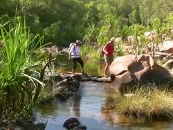 HD: Trekking in Kakadu National Park Stock Footage