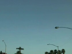 (HD1080i) Tropical Blur - Endless High Speed palm Trees, Loop-able Stock Footage