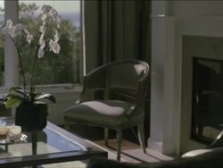 Focus on white orchid, patterns of sunlight shift on background chair. Stock Footage