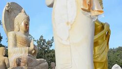 HD panning: many types of Buddha in the temple in forest Stock Footage