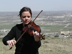 Outdoor Orchestra - Violin Stock Footage