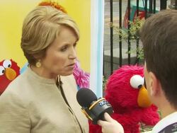 Katie Couric and Elmo at the Katie Couric and Sesame Street Muppets - When Families Grieve at New York NY. (Footage by WireImage Video/GettyImages) Stock Footage