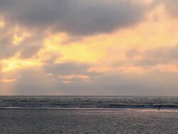 Lone shell collector Stock Footage