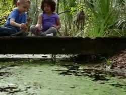 LA Boy and girl playing with toy dinosaurs on wooden bridge in woodland. Stock Footage