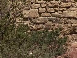 Shrubs grow next to a rough stone wall. Stock Footage