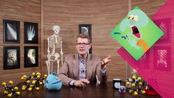 Blood, Part 2 - There Will Be Blood: Crash Course A&P Instructional Video