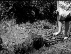 MEET THE DIGGERS News Clip