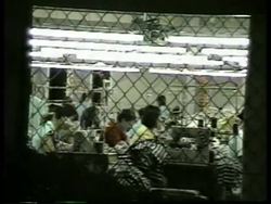 USA: NEW YORK/SAIPAN: LAWSUIT FILED AGAINST CLOTHING SWEATSHOPS News Clip