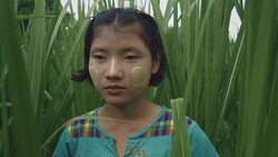 M/S SLO MO (wider lens) Myanmar teenage girl looking between the reeds / high grass Stock Footage