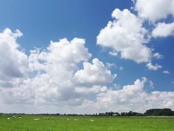 Sky timelapse with sheep in foreground Stock Footage