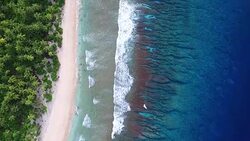 Overhead view of gentle waves breaking on Pacific Atoll Stock Footage
